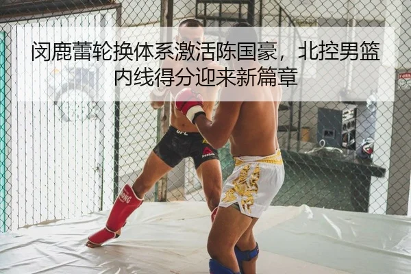 闵鹿蕾轮换体系激活陈国豪，北控男篮内线得分迎来新篇章
